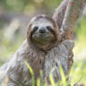 Meet your Posher, Rena